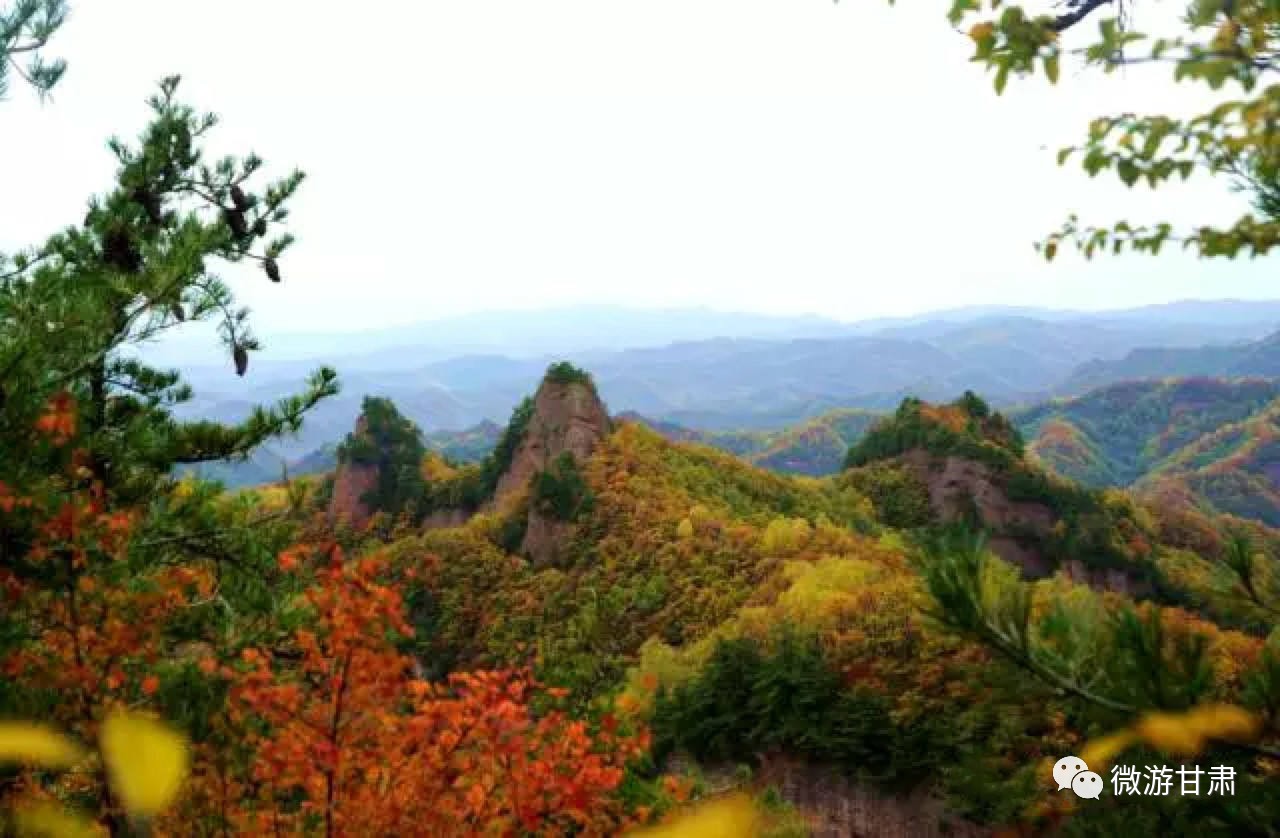 在平凉庄浪神秘的关山峡谷中"寻找今秋最后一抹红"