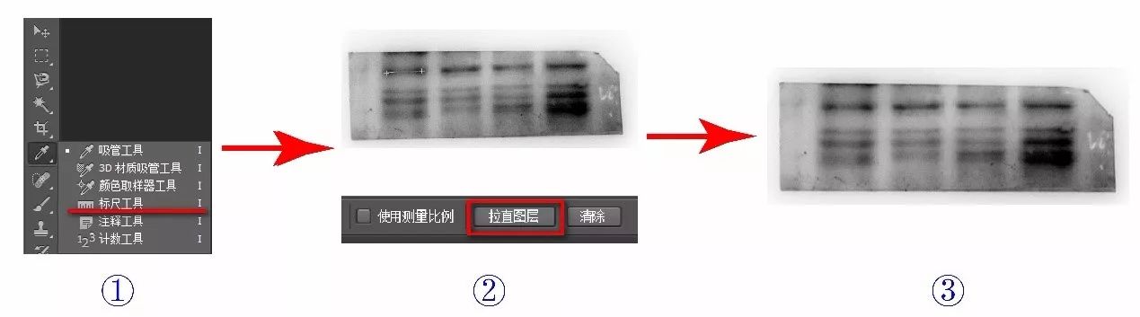 不到五分钟,做出强迫症都满意的 sci 图片