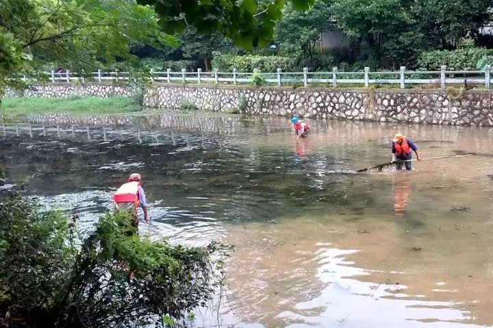 泗安镇在罗家地村青东涧举行"河长在行动"集中推进活动.