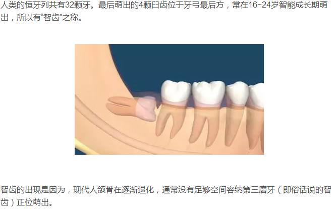 正位萌出的智齿不需要拔,也就是智齿 萌生的位置很正,而且 上下有对