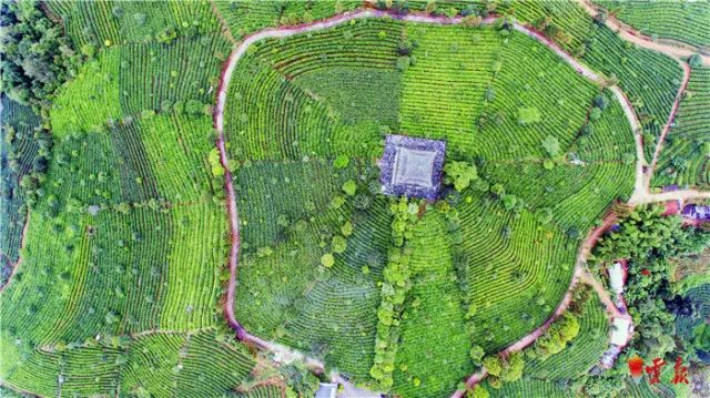 西双版纳多少人口_西双版纳风景图片