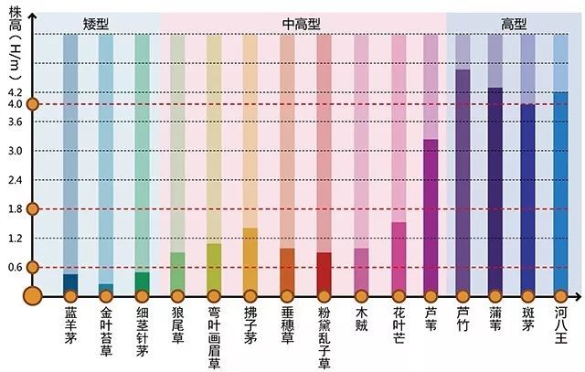 叶色:常色叶,秋色叶,彩色叶 季相:季相特征明显,四季变化,各有色彩