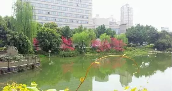 梦溪湖不仅有美景,西南石油大学的实力也是有目共睹.