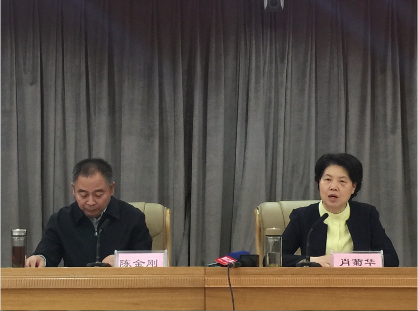 图为湖北省委组织部副部长,省人社厅党组书记,厅长肖菊华讲话