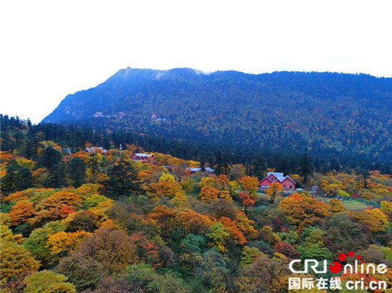 景美人少 深秋峨眉山首份秋色地图