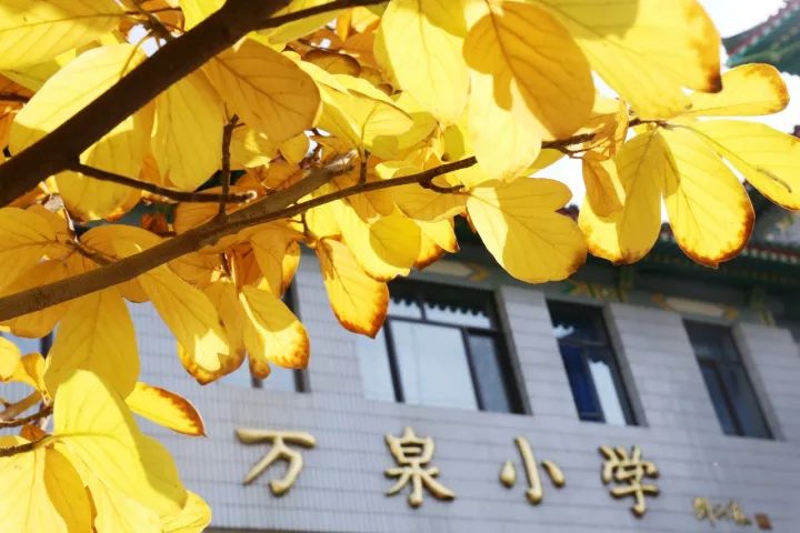 摄影:万泉小学