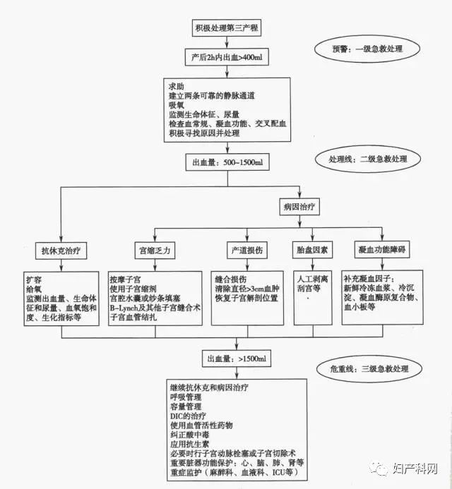 产后出血规范处理流程示意图