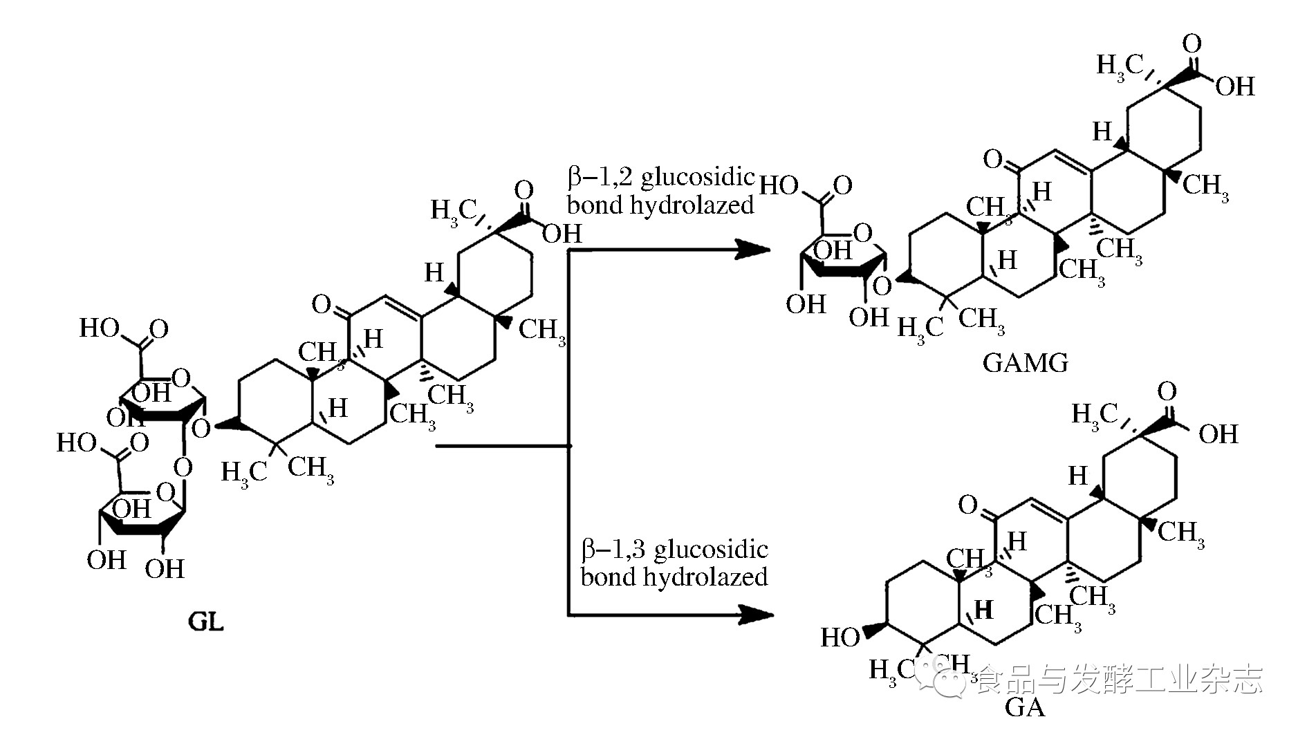核苷酸的分解代谢_生物化学_挂云帆