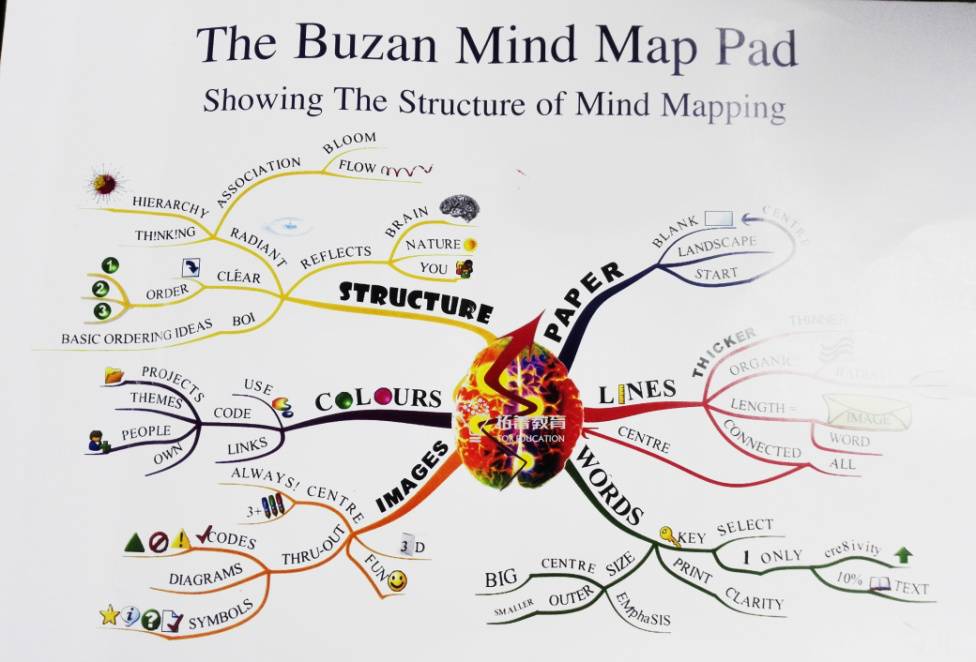 期中考mindmap创始人tonybuzan亲传弟子助你一臂之力