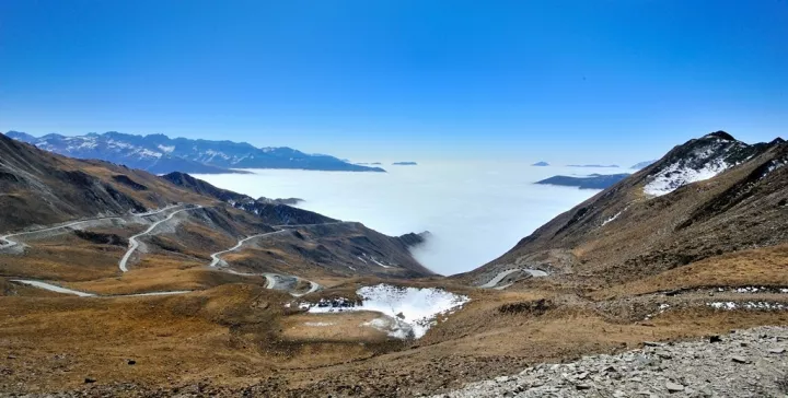 夹金山雾松