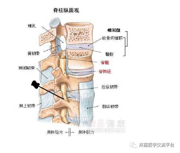 针刀篇腰骶部针刀治疗