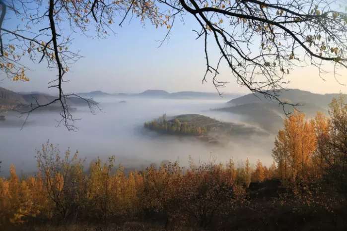 大美庆阳——秋醉子午岭