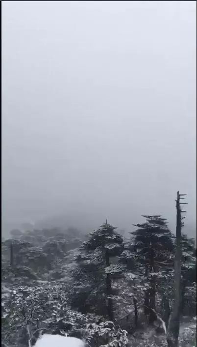 大理的气温骤降 今天一大早还下起了雨 今天,不只是苍山下雪,鸡足山也