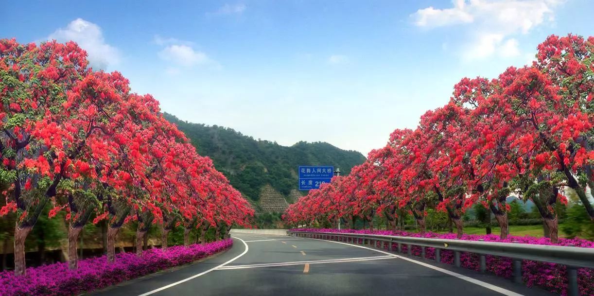 攀枝花公园——花城森林公园绿道金江高速下线口瓜子坪高速下线口新庄