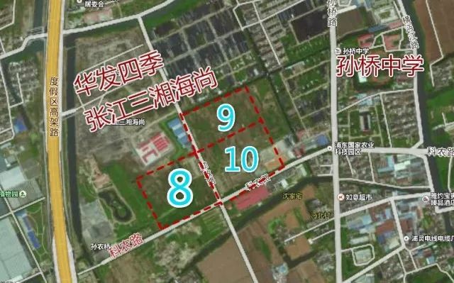 张江地块-图中10号地块【竞得企业】上海张江(集团)有限公司;楼板价