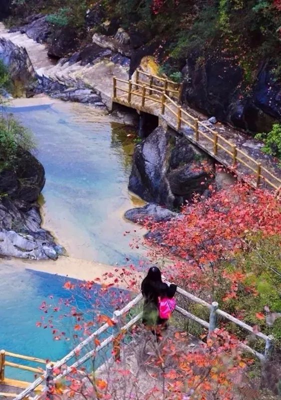 美丽红叶商洛天蓬山寨休闲一日游