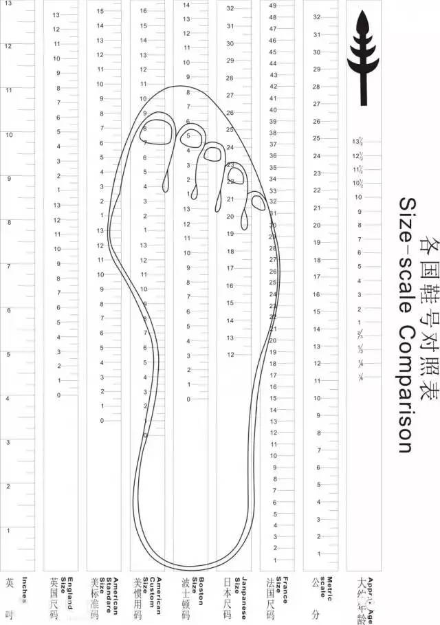 各国鞋号对照表1:1尺寸,可打印收藏