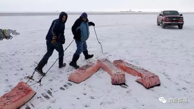 suaasat 格陵兰肉汤   格陵兰地区传统汤食,通常是用海豹肉