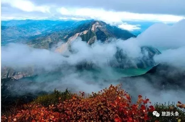 奉节婚纱摄影_奉节脐橙图片