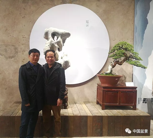 岁月留痕61吴家花园杯盆景名家作品邀请展先睹为快