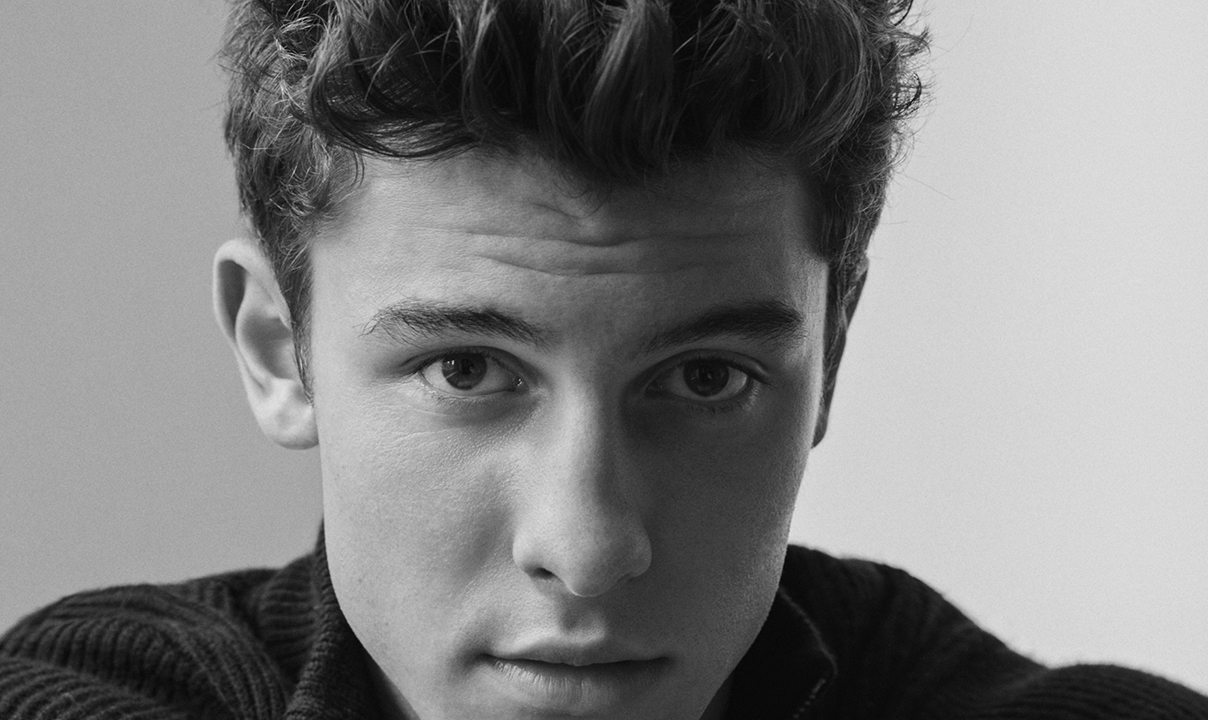 shawn mendes