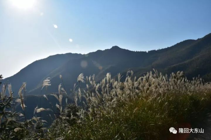 山的呼唤秋的诱惑隆回大东山的秋韵