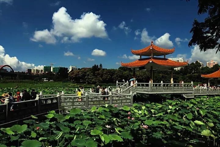 洪湖市有多少人口_湖北洪湖市有2座长江大桥,为何没有一座以 洪湖 命名