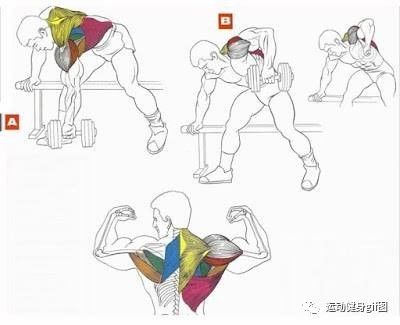 什么动作练哪块肌肉,全身肌肉怎么练,这次全部用彩图告诉你!