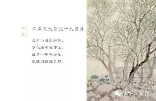 掣怎么读（掣怎么读组词）-85模板网