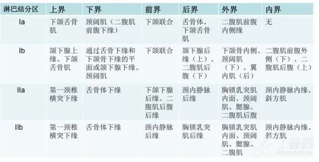 史上最精细:头颈部淋巴结分区 ct 图谱