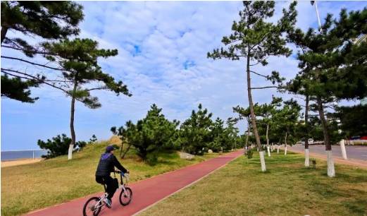 威海竟然有这么多条绿道沿途风景美到爆遛弯健身约起来