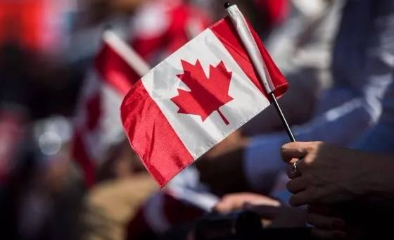 100万?加拿大公布新名额!将成最容易移民的国