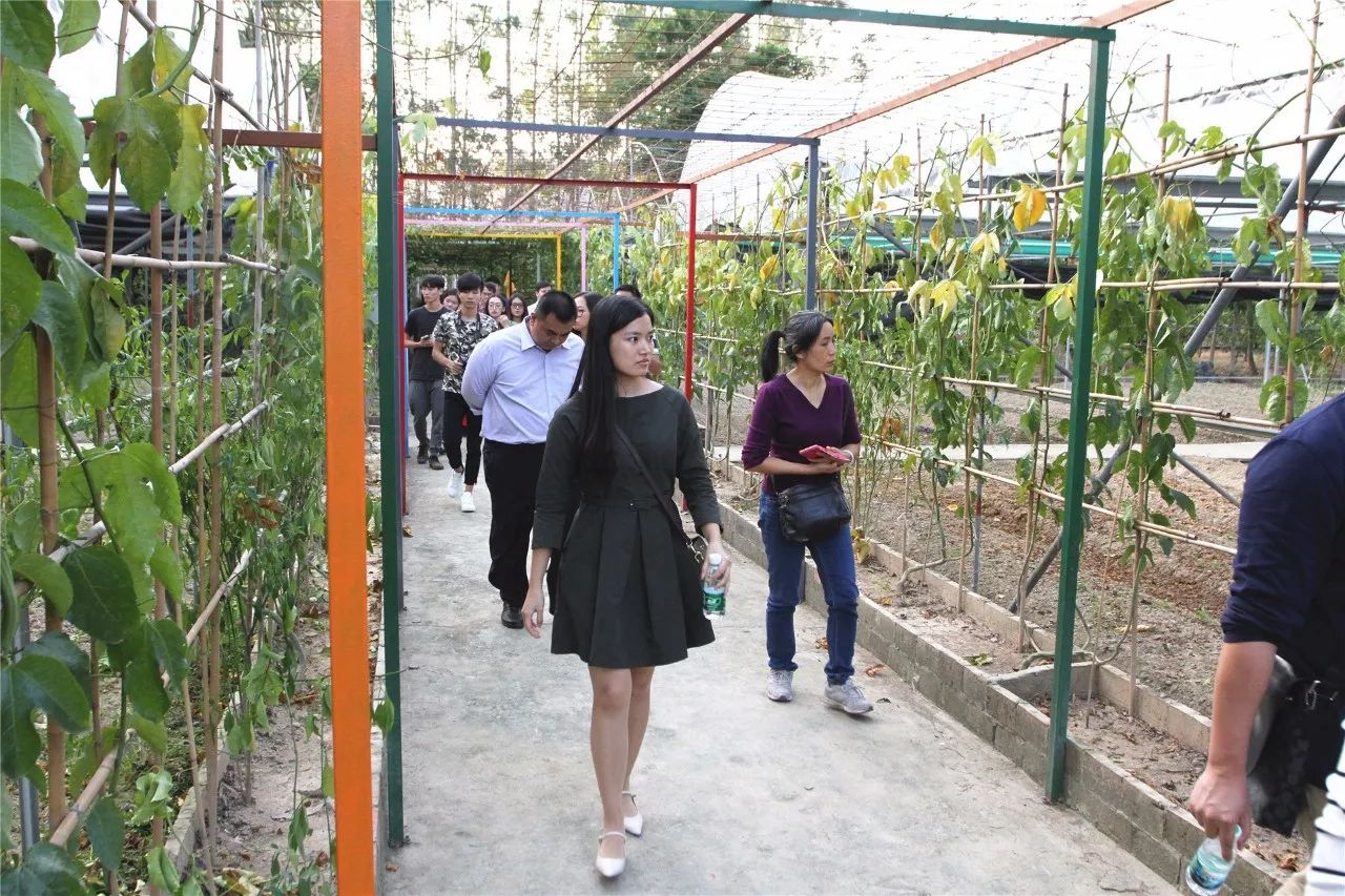 东莞市百名旅行社总经理来麻涌创艺生态园参观