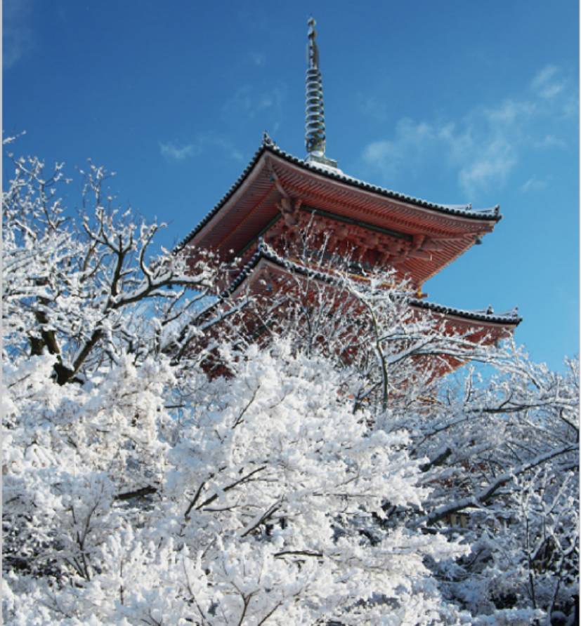 轻井泽的雪,南青山的街.最美的东京 还少一个你