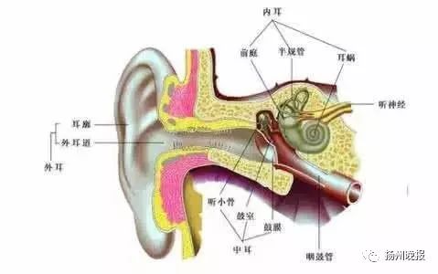 " 病人因为长时间戴耳机,较大的声音一直不停地刺激其内耳毛细胞.