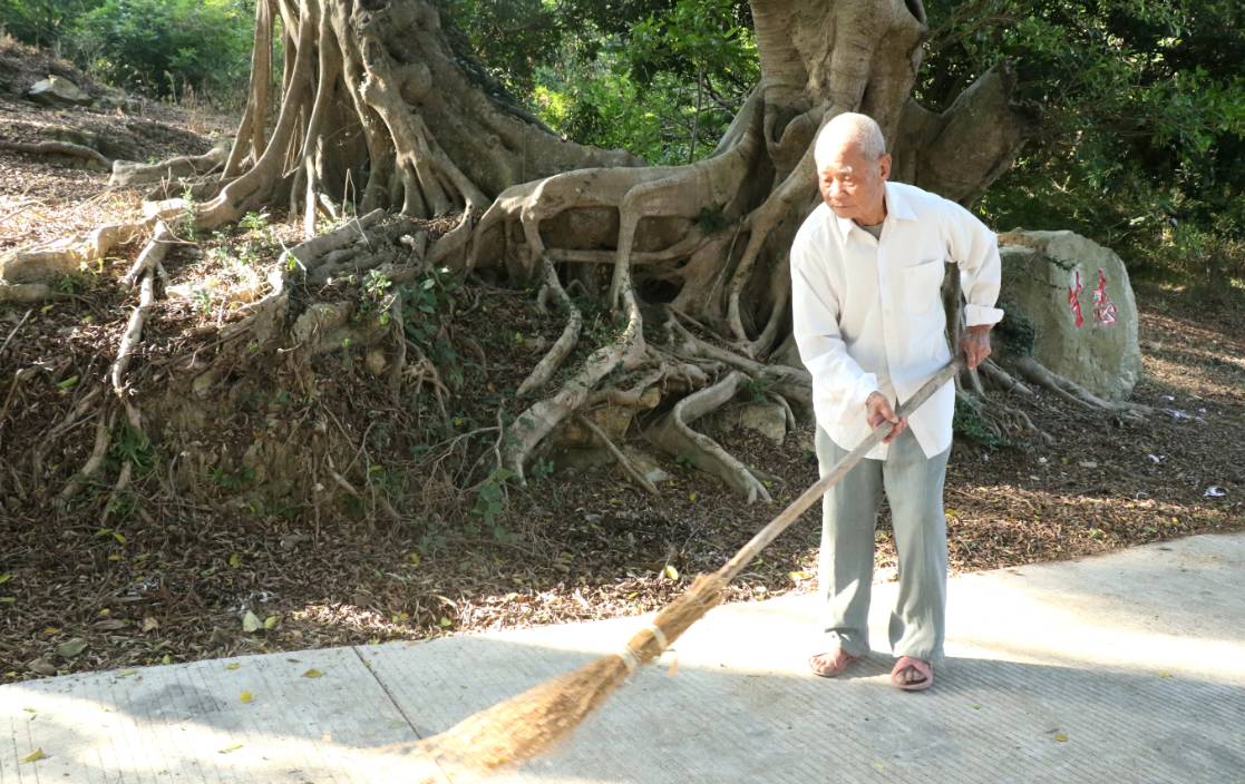 【点赞】91岁的老人扫地乐此不疲,公园里最美的"常青