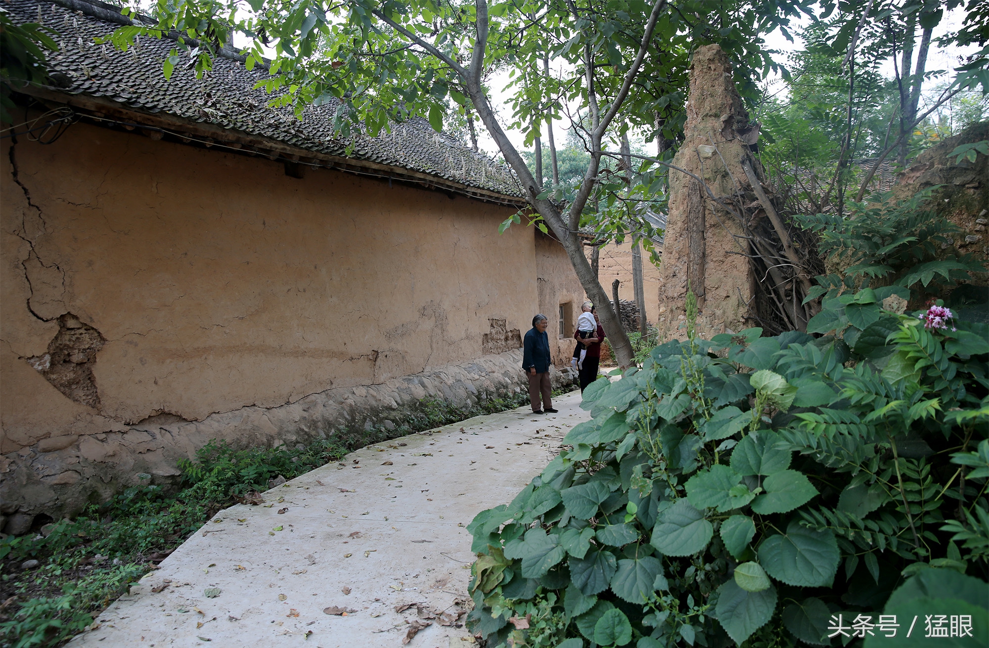 小编围着村子走了一圈,非常宁静.有的住房院子里没有人.有的大门紧闭.