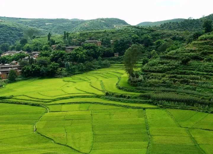 人口地承包_士地承包工程工地照片