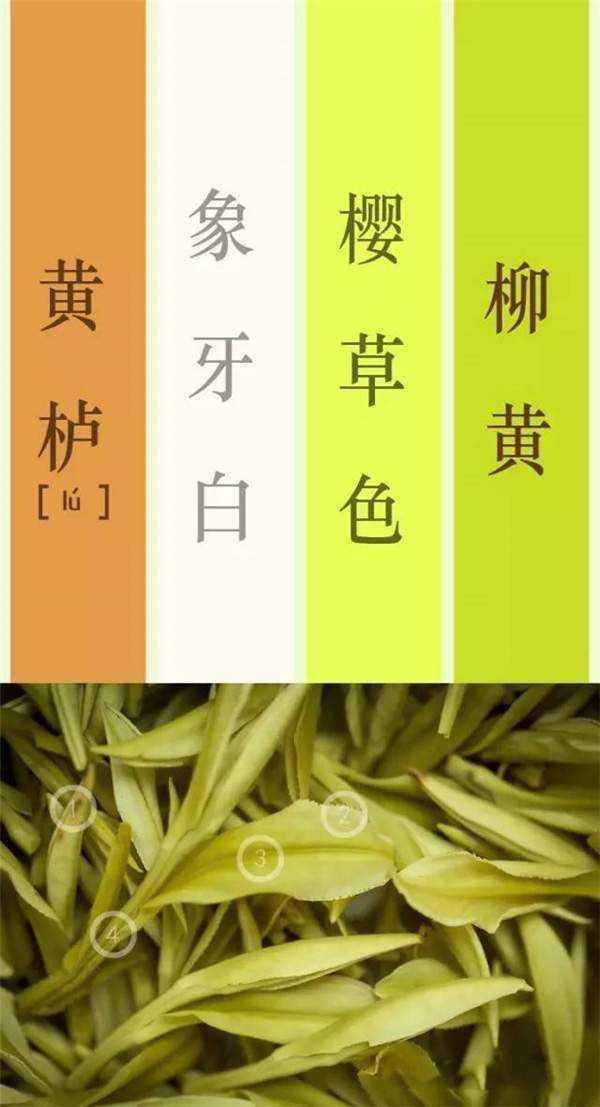 黄栌升炊烟【绿茶】有了这个茶叶色谱,以后对描述叶底的颜色时,茶友们