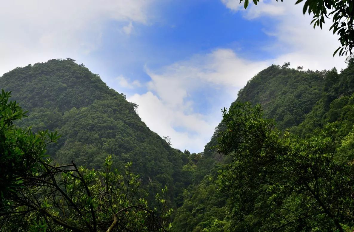 两人先在桂平县城,随后受到官府衙役骚扰,往城北八十里之紫荆山建拜