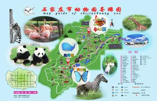 石家庄动物园门票团购_动物园 海洋馆双十一活动