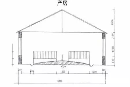 干货含图100头基本母猪自繁自养猪场该如何设计