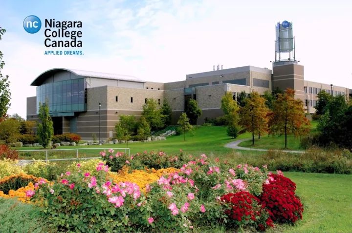 niagara college canada