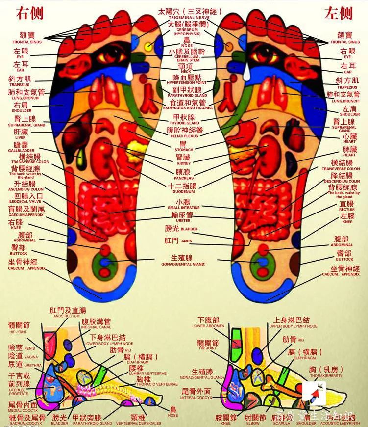 脚底"开关"到底能不能治病?真相让人大吃一惊!