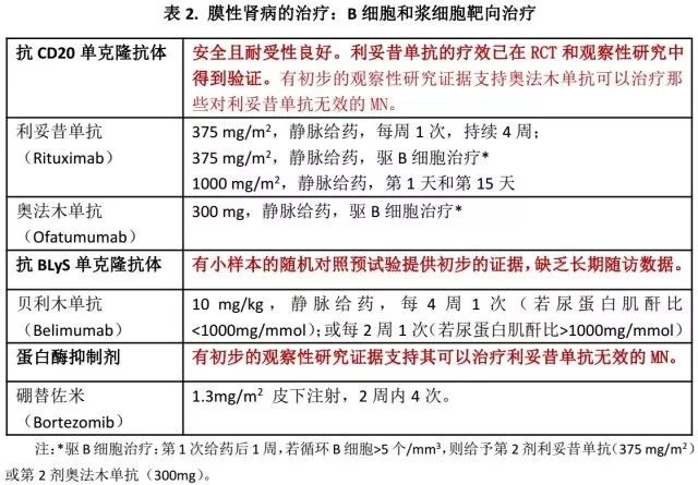 奈史密斯出生于 海贼王之十二个愿望莫德里奇发带图片