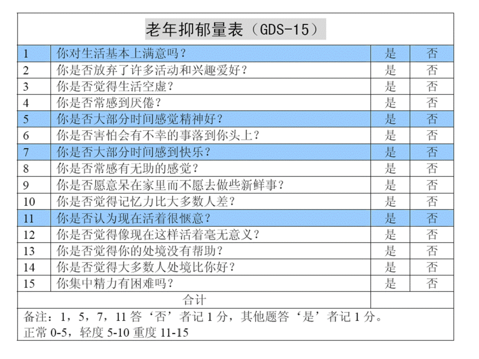 老年抑郁量表(gds)