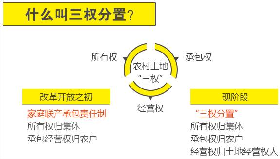 实行所有权,承包权,经营权分置