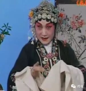 戏魂蝴蝶杯选段张慧云河北梆子