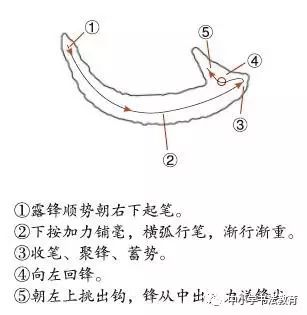 下部卧钩粗重,舒展偏右,中点下沉,以避让上部.