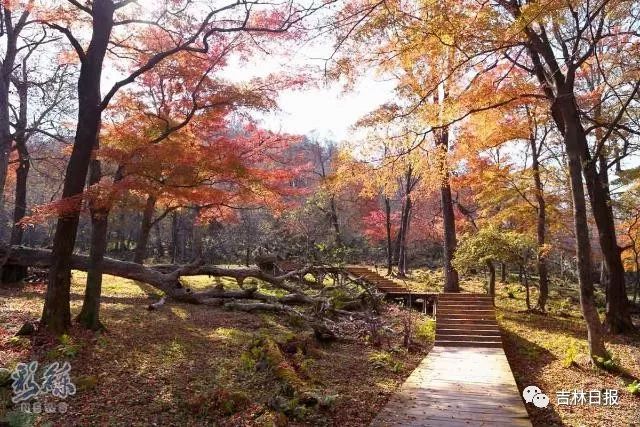 通化人口民族_通化师范学院(3)